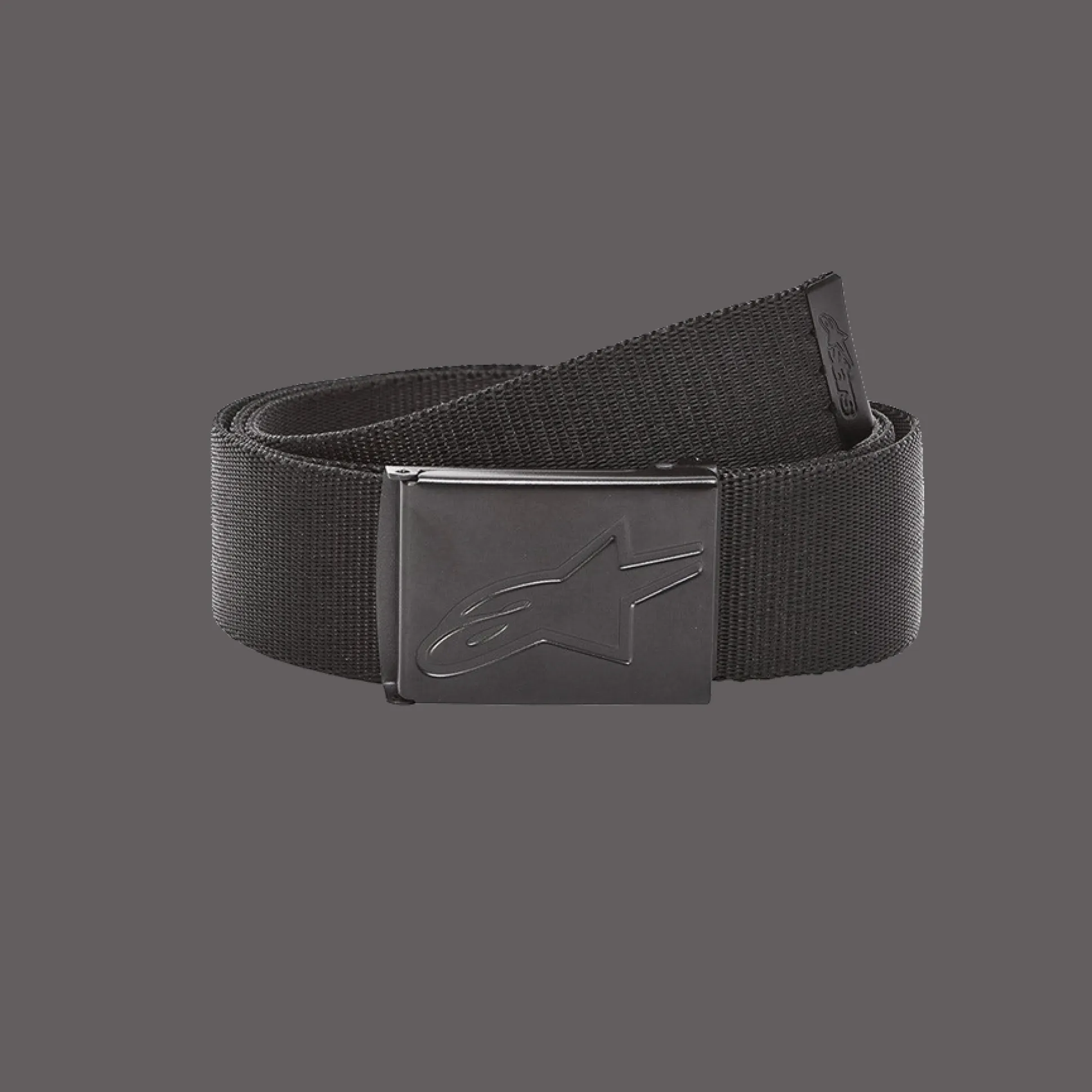 Ageless Web Belt
